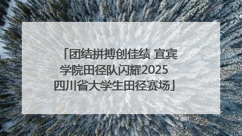 团结拼搏创佳绩 宜宾学院田径队闪耀2025四川省大学生田径赛场
