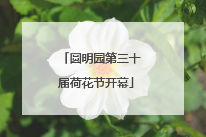 圆明园第三十届荷花节开幕