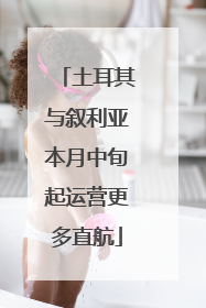 土耳其与叙利亚本月中旬起运营更多直航