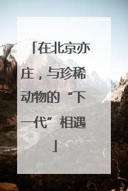 在北京亦庄，与珍稀动物的“下一代”相遇