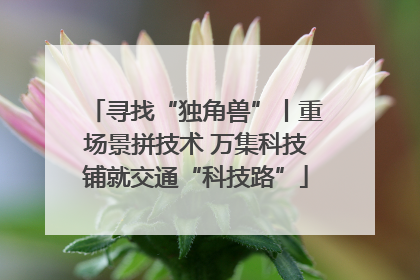 寻找“独角兽”丨重场景拼技术 万集科技铺就交通“科技路”