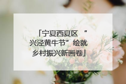 宁夏西夏区 “兴泾黄牛节”绘就乡村振兴新画卷