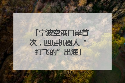 宁波空港口岸首次，四足机器人“打飞的”出海