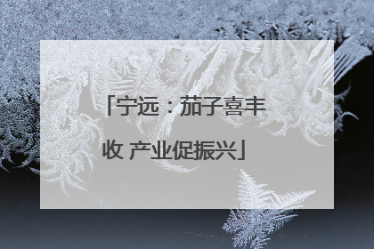 宁远：茄子喜丰收 产业促振兴
