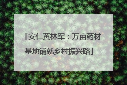 安仁黄林军：万亩药材基地铺就乡村振兴路