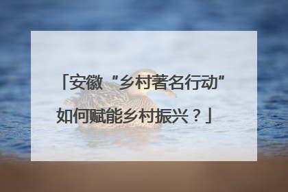 安徽“乡村著名行动”如何赋能乡村振兴？