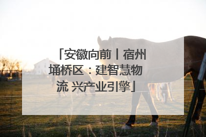 安徽向前丨宿州埇桥区：建智慧物流 兴产业引擎