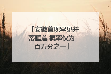 安徽首现罕见并蒂睡莲 概率仅为百万分之一