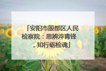 安阳市殷都区人民检察院：思辨淬青锋，知行砺检魂