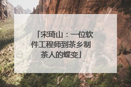 宋琦山：一位软件工程师到茶乡制茶人的蝶变