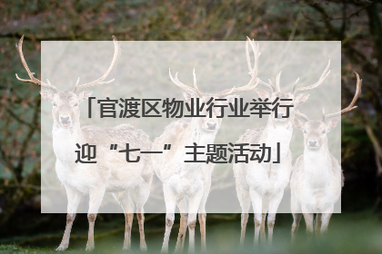 官渡区物业行业举行迎“七一”主题活动
