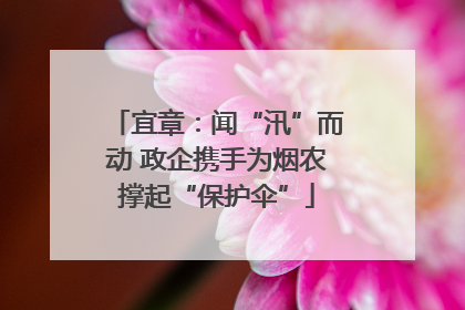 宜章：闻“汛”而动 政企携手为烟农撑起“保护伞”