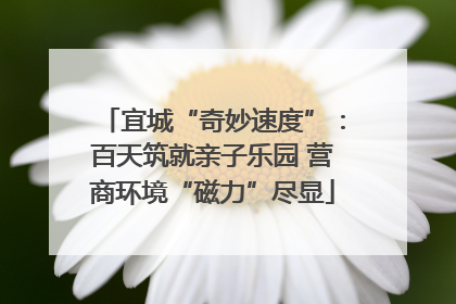 宜城“奇妙速度”：百天筑就亲子乐园 营商环境“磁力”尽显