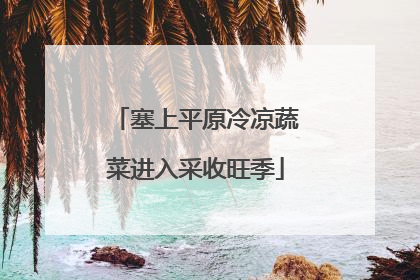 塞上平原冷凉蔬菜进入采收旺季