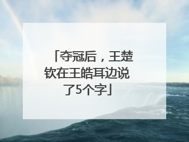 夺冠后，王楚钦在王皓耳边说了5个字