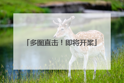 多图直击！即将开桨