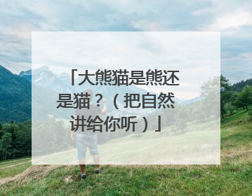 大熊猫是熊还是猫?(把自然讲给你听)