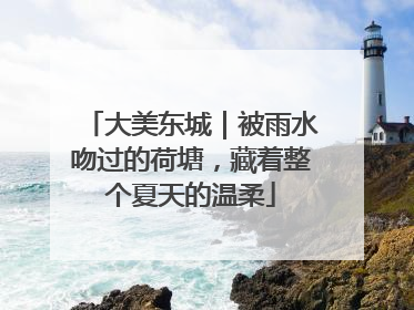 大美东城｜被雨水吻过的荷塘，藏着整个夏天的温柔