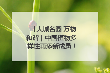 大城名园 万物和谐｜中国植物多样性再添新成员！它只在西藏墨脱
