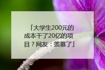 大学生200元的成本干了20亿的项目？网友：羡慕了