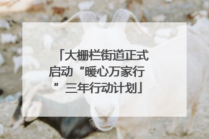 大栅栏街道正式启动“暖心万家行”三年行动计划