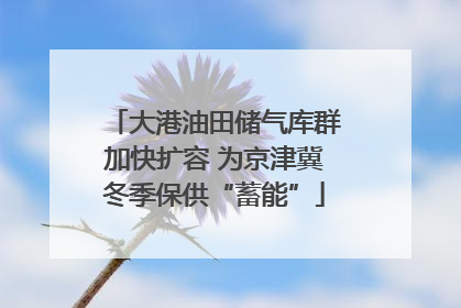 大港油田储气库群加快扩容 为京津冀冬季保供“蓄能”