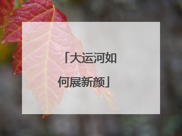大运河如何展新颜