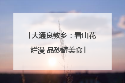 大通良教乡：看山花烂漫 品砂罐美食