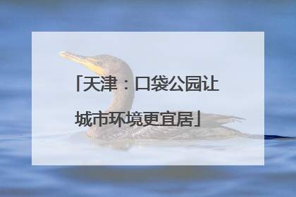 天津：口袋公园让城市环境更宜居