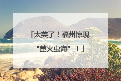 太美了！福州惊现“萤火虫海”！