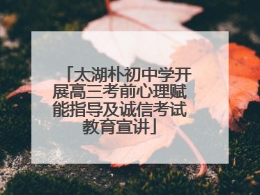 太湖朴初中学开展高三考前心理赋能指导及诚信考试教育宣讲
