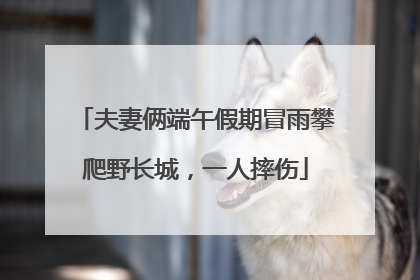 夫妻俩端午假期冒雨攀爬野长城，一人摔伤