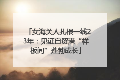 女海关人扎根一线23年：见证自贸港“样板间”蓬勃成长