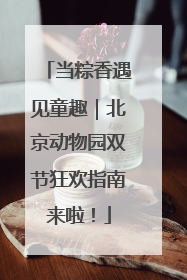 当粽香遇见童趣｜北京动物园双节狂欢指南来啦！