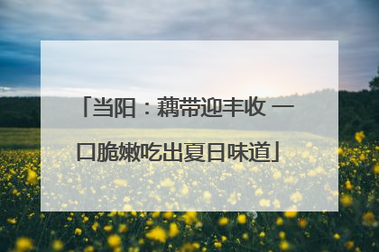 当阳：藕带迎丰收 一口脆嫩吃出夏日味道