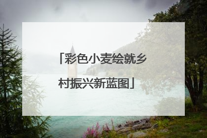 彩色小麦绘就乡村振兴新蓝图
