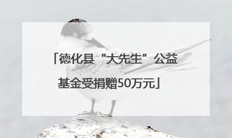 德化县“大先生”公益基金受捐赠50万元