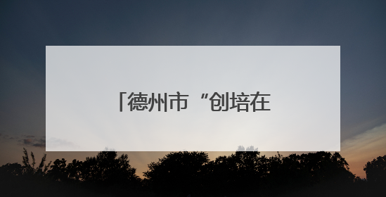 德州市“创培在身边”公益志愿服务活动举办