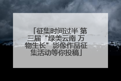 征集时间过半 第三届“绿美云南 万物生长”影像作品征集活动等你投稿