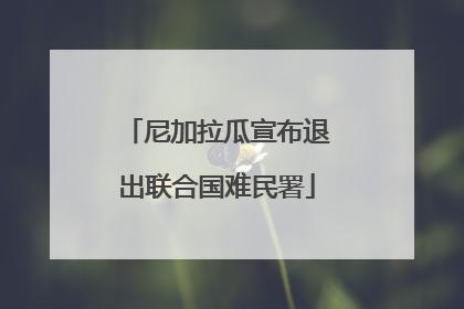 尼加拉瓜宣布退出联合国难民署