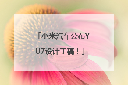 小米汽车公布YU7设计手稿！