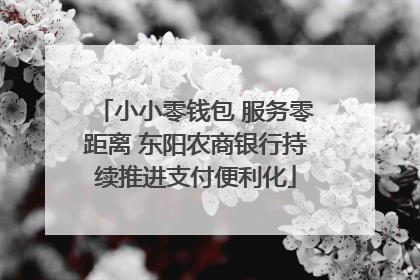 小小零钱包 服务零距离 东阳农商银行持续推进支付便利化