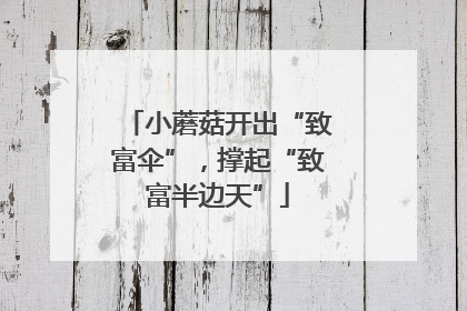 小蘑菇开出“致富伞”，撑起“致富半边天”