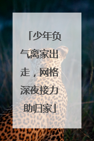 少年负气离家出走，网格深夜接力助归家