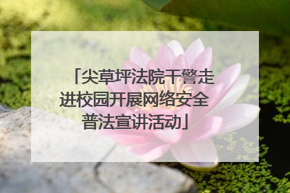 尖草坪法院干警走进校园开展网络安全普法宣讲活动