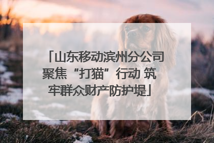 山东移动滨州分公司聚焦“打猫”行动 筑牢群众财产防护堤