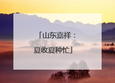 山东嘉祥：夏收夏种忙