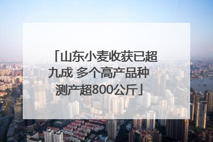 山东小麦收获已超九成 多个高产品种测产超800公斤