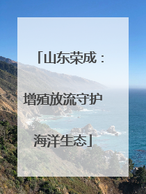 山东荣成：增殖放流守护海洋生态