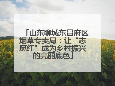 山东聊城东昌府区烟草专卖局：让“志愿红”成为乡村振兴的亮丽底色